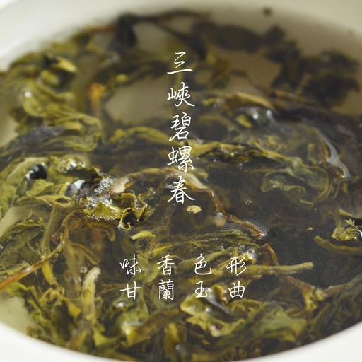 新北三峽 - 碧螺春綠茶 四兩 (150克)   茶農自產自銷